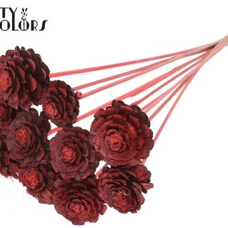Halve Dennenappel op stok | Kleur: Koraalkleurig | Diameter 5 - 7 centimeter | Lengte ± 50 centimeter | 10 bijstekers per bos