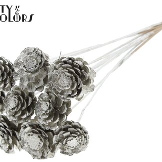 Halve Dennenappel op stok | Kleur: Platinakleurig | Diameter 5 - 7 centimeter | Lengte ± 50 centimeter | 10 bijstekers per bos