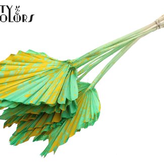 QC Gedroogde Palm Spear | Kleur: Gespetterd Mintgroen Geel | Palmbladeren in Speervorm | Lengte ± 55 centimeter | 10 takken per bos | Per bos