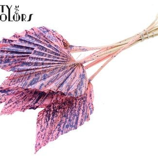Gedroogde Palm Spear | Kleur: Gespetterd Roze Milkapaars | Palmbladeren in Speervorm | Lengte ± 55 centimeter | 10 takken per bos | Per bos