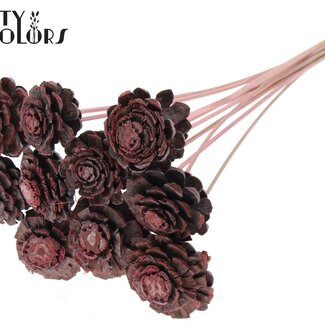 Halve Dennenappel op stok | Kleur: Frosted Lichtroze | Diameter 5 - 7 centimeter | Lengte ± 50 centimeter | 10 bijstekers per bos