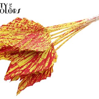 Gedroogde Palm Spear | Kleur: Gespetterd Geel Rood | Palmbladeren in Speervorm | Lengte ± 55 centimeter | 10 takken per bos | Per bos