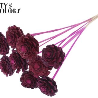 QC Halve Dennenappel op stok | Kleur: Lilakleurig | Diameter 5 - 7 centimeter | Lengte ± 50 centimeter | 10 bijstekers per bos