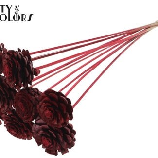 Halve Dennenappel op stok | Kleur: Rood | Diameter 5 - 7 centimeter | Lengte ± 50 centimeter | 10 bijstekers per bos