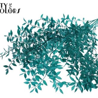 QC Dried Ruscus | Colour: Turquoise | Ruscus Dried Flowers | Length ± 70 centimetre | 10 stems per bunch | Per bunch