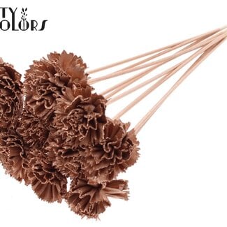 Shola Karnish Bloem op stok | Kleur: Koperkleurig | Diameter 6 centimeter | Lengte ± 50 centimeter | 10 bijstekers per bos | Per bos