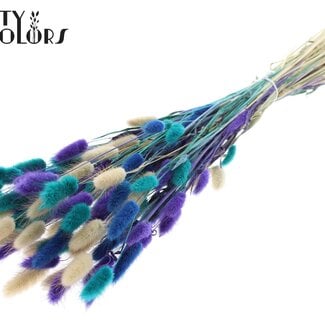Gedroogde Hazenstaartjes Premium | Scandinavische Mix | Kleur: Gemengde Kleuren | Lagurus Ovatus droogbloemen | Lengte ± 70 centimeter | Gewicht 100 gram | Per bos