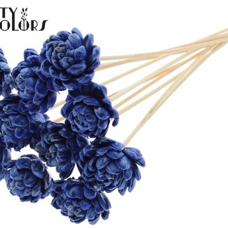 Shola Houten Roos met was op stok | Kleur: Blauw | Sola New Beauty Rose | Diameter 6 centimeter | Lengte ± 50 centimeter | 10 bijstekers per bos | Per bos