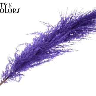 Gedroogde Pampas Pluimen | Kleur: Paars | Lengte ± 175 centimeter | Per pluim