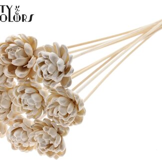 Shola Houten Roos met was op stok | Kleur: Wit | Sola New Beauty Rose | Diameter 6 centimeter | Lengte ± 50 centimeter | 10 bijstekers per bos | Per bos