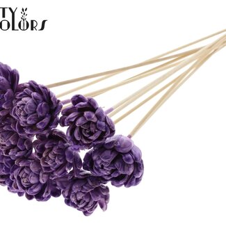 QC Shola wooden with wax Rose on stem | Colour: Milky purple | Shola New Beauty Rose | Diameter 6 centimeter | Length ± 50 centimeter | 10 side picks per bunch | Per bunch
