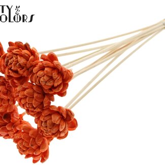 Shola Houten Roos met was op stok | Kleur: Oranje | Sola New Beauty Rose | Diameter 6 centimeter | Lengte ± 50 centimeter | 10 bijstekers per bos | Per bos