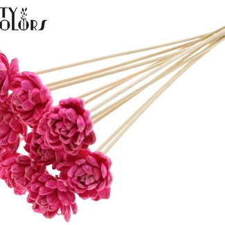 Shola Houten Roos met was op stok | Kleur: Kerskleurig | Sola New Beauty Rose | Diameter 6 centimeter | Lengte ± 50 centimeter | 10 bijstekers per bos | Per bos