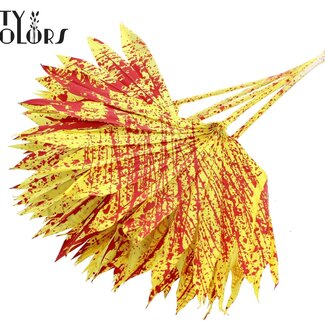 Gedroogde Palm Sun Spear | Kleur: Gespetterd Geel Rood | Palmbladeren in Waaiervorm | Lengte ± 50 centimeter | 10 takken per bos | Per bos