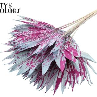 Gedroogde Palm Sun Spear | Kleur: Gespetterd Lichtblauw Kers | Palmbladeren in Waaiervorm | Lengte ± 50 centimeter | 10 takken per bos | Per bos