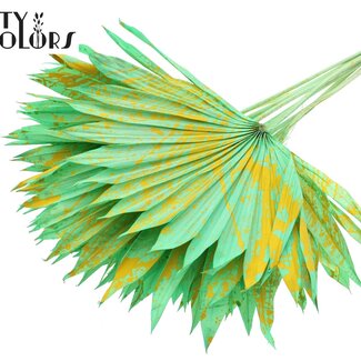 QC Gedroogde Palm Sun Spear | Kleur: Gespetterd Mint Geel | Palmbladeren in Waaiervorm | Lengte ± 50 centimeter | 10 takken per bos | Per bos