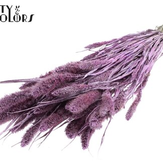 Gedroogde Setaria | Kleur: Metallic Roze met Glitter | Setarea Droogbloemen | Lengte ± 70 centimeter | Gewicht 210 gram | Per bos