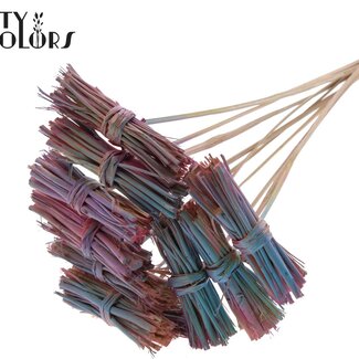 White Lady Boeketje op stok | Kleur: Kleurverloop Roze | White Lady Posy Bijsteker | Lengte ± 50 centimeter | 10 bijstekers per bos