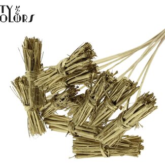 QC White Lady Posy on Stick | Colour: Gold-coloured | White Lady Posy Pick | Length ± 50 centimetres | 10 picks per bunch