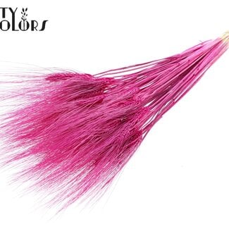 Gedroogde Gebleekte Baardtarwe | Kleur: Lilakleurig | Triticum Beard Droogbloemen | Lengte ± 70 centimeter | Gewicht 150 gram | Per bos