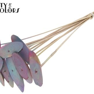 Ovalen Houtschijf op stok | Kleur: Verloop Roze | Houtschijf Bijsteker | Diameter 5 - 7 centimeter | Lengte ± 50 centimeter | 10 bijstekers per bos | Per bos