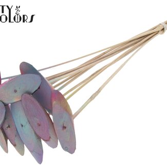 QC Oval Wooden Disc on Stick | Colour: Gradient Pink | Wooden Disc Stick | Diameter 5 - 7 centimetres | Length ± 50 centimetres | 10 sticks per bunch | Per bunch