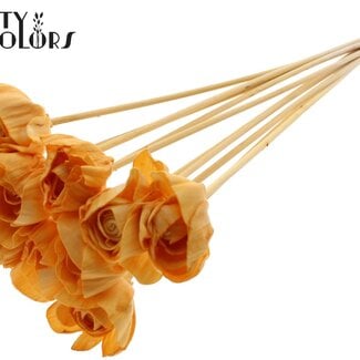 Shola Rozen op stok | Kleur: Abrikooskleurig | Shola Dear Holly | Diameter 6 centimeter | Lengte  ± 50 centimeter | 10 bijstekers per bos | Per bos
