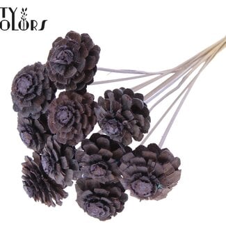 Halve Dennenappel op stok | Kleur: Frosted Milkapaars | Diameter 5 - 7 centimeter | Lengte ± 50 centimeter | 10 bijstekers per bos