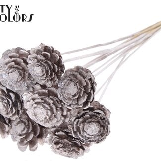 Halve Dennenappel op stok | Kleur: Champagnekleurig | Diameter 5 - 7 centimeter | Lengte ± 50 centimeter | 10 bijstekers per bos