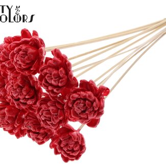 Shola Houten Roos met was op stok | Kleur: Rood | Sola New Beauty Rose | Diameter 6 centimeter | Lengte ± 50 centimeter | 10 bijstekers per bos | Per bos