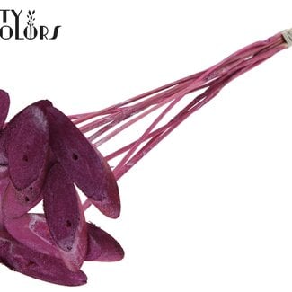 Ovalen Houtschijf op stok | Kleur: Metallic Roze | Houtschijf Bijsteker | Diameter 5 - 7 centimeter | Lengte ± 50 centimeter | 10 bijstekers per bos | Per bos