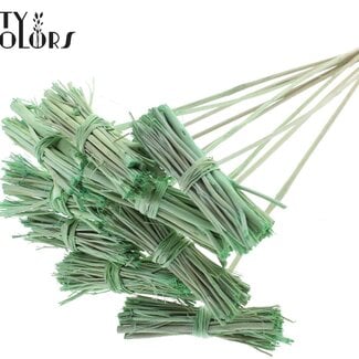White Lady Boeketje op stok | Kleur: Frosted Mintgroen | White Lady Posy Bijsteker | Lengte ± 50 centimeter | 10 bijstekers per bos