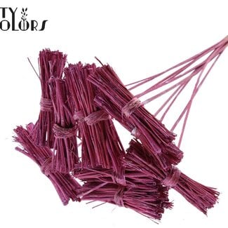 White Lady Boeketje op stok | Kleur: Metallic Roze | White Lady Posy Bijsteker | Lengte ± 50 centimeter | 10 bijstekers per bos