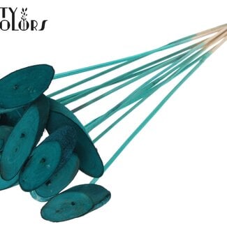 Ovalen Houtschijf op stok | Kleur: Turquoise | Houtschijf Bijsteker | Diameter 5 - 7 centimeter | Lengte ± 50 centimeter | 10 bijstekers per bos | Per bos