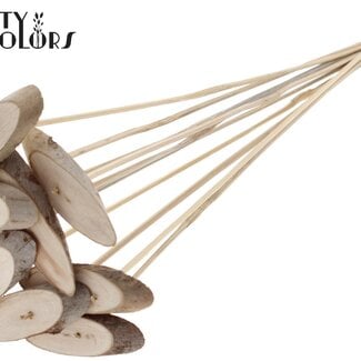Ovalen Houtschijf op stok | Kleur: Naturelle Lichtbruin | Houtschijf Bijsteker | Diameter 5 - 7 centimeter | Lengte ± 50 centimeter | 10 bijstekers per bos | Per bos