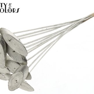 Ovalen Houtschijf op stok | Kleur: Platinakleurig | Houtschijf Bijsteker | Diameter 5 - 7 centimeter | Lengte ± 50 centimeter | 10 bijstekers per bos | Per bos