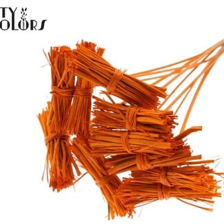 White Lady Boeketje op stok | Kleur: Oranje | White Lady Posy Bijsteker | Lengte ± 50 centimeter | 10 bijstekers per bos