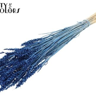 Gedroogde Gebleekte Tarwe | Kleur: Blauw | Triticum Droogbloemen | Lengte ± 60 centimeter | Gewicht 100 gram | Per bos