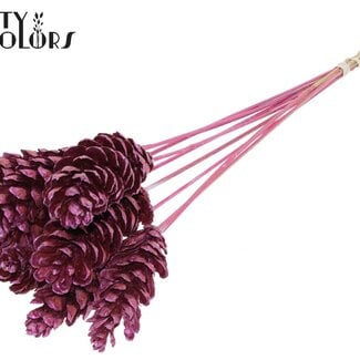 Strobus Dennenappel op stok | Kleur: Metallic Roze | Dennenappel Bijsteker | Lengte ± 50 centimeter | 10 bijstekers per bos