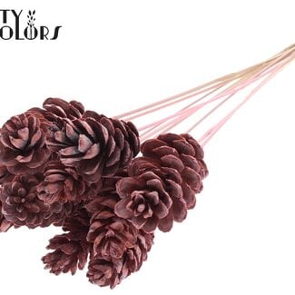 Strobus Dennenappel op stok | Kleur: Frosted Roze | Dennenappel Bijsteker | Lengte ± 50 centimeter | 10 bijstekers per bos