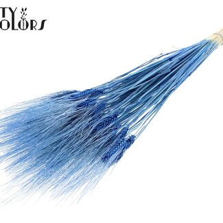 QC Gedroogde Gebleekte Baardtarwe | Kleur: Blauw | Triticum Beard Droogbloemen | Lengte ± 70 centimeter | Gewicht 150 gram | Per bos