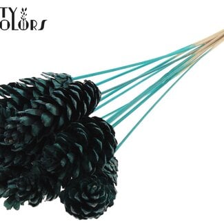 Strobus Dennenappel op stok | Kleur: Turquoise | Dennenappel Bijsteker | Lengte ± 50 centimeter | 10 bijstekers per bos
