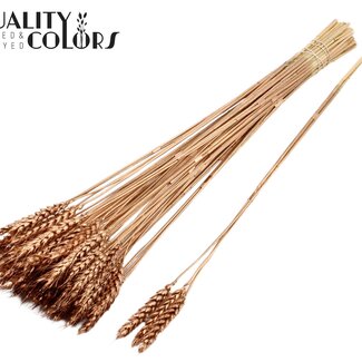 Gedroogde Tarwe | Kleur: Antiek Goudkleurig | Triticum Droogbloemen | Lengte ± 55 centimeter | 3 takjes per toefje | 25 toefjes per bos | Per bos
