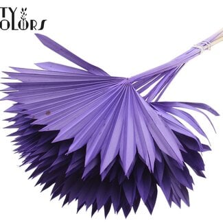 Gedroogde Palm Sun Spear | Kleur: Paars | Palmbladeren in Waaiervorm | Lengte ± 50 centimeter | 10 takken per bos | Per bos