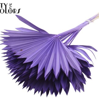 QC Gedroogde Palm Sun Spear | Kleur: Paars | Palmbladeren in Waaiervorm | Lengte ± 50 centimeter | 10 takken per bos | Per bos