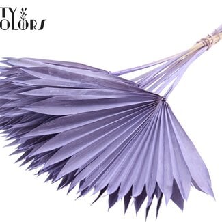 Gedroogde Palm Sun Spear | Kleur: Frosted Milkapaars | Palmbladeren in Waaiervorm | Lengte ± 50 centimeter | 10 takken per bos | Per bos