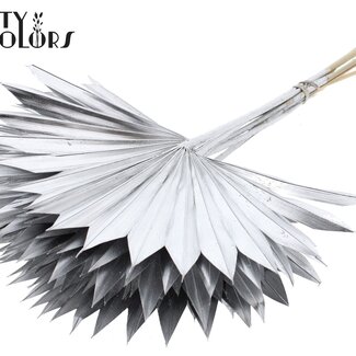 QC Gedroogde Palm Sun Spear | Kleur: Zilverkleurig | Palmbladeren in Waaiervorm | Lengte ± 50 centimeter | 10 takken per bos | Per bos