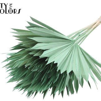 QC Gedroogde Palm Sun Spear | Kleur: Frosted Mintgroen | Palmbladeren in Waaiervorm | Lengte ± 50 centimeter | 10 takken per bos | Per bos