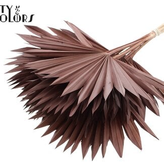 Gedroogde Palm Sun Spear | Kleur: Bruin | Palmbladeren in Waaiervorm | Lengte ± 50 centimeter | 10 takken per bos | Per bos