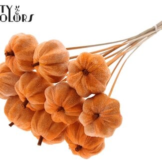 Fluwelen Pompoen op stok | Kleur: Oranje | Pompoen Bijsteker | Diameter pompoen 6 centimeter | Lengte ± 50 centimeter | 10 bijstekers per bos